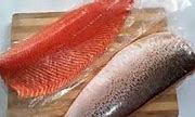 Negara Penghasil Ikan Salmon Terbaik Di Indonesia Adalah